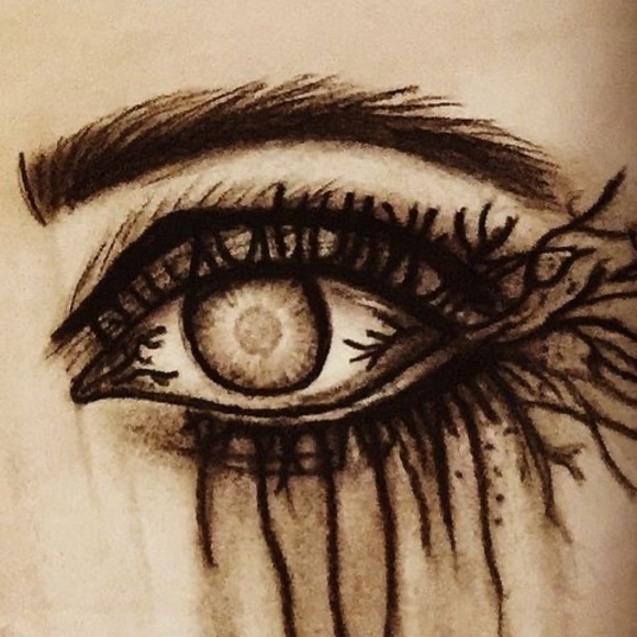 Meet your Posher, Rio - Picture 1 of 1